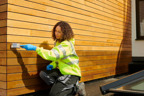 Best Custom Trim and Detailing for Siding  in Bazon, CA